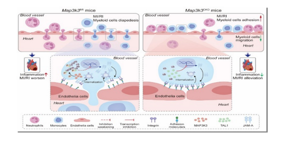 技术资料图片10