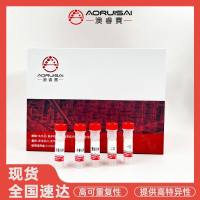 InVivoMAb Anti-Nipah virus/NiV Fusion glycoprotein/F Trimer Antibody (Fab92)