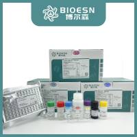 Nipah/Hendra virus Glycoprotein (G) ELISA Kit
