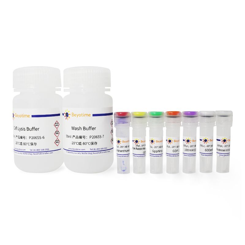 Active Rho Pull-down and Detection Kit