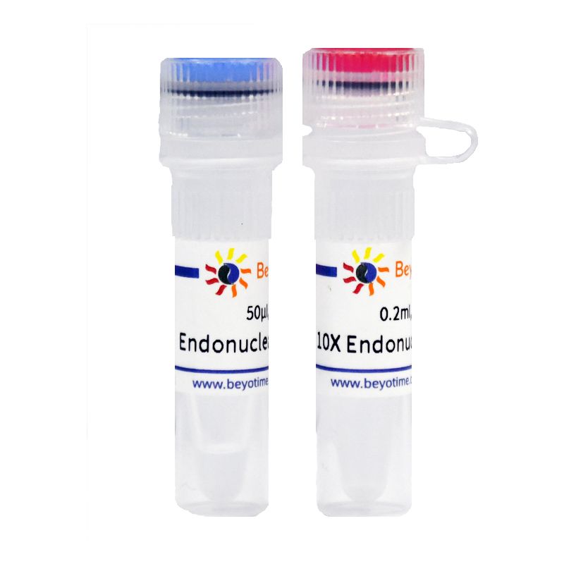 Endonuclease IV