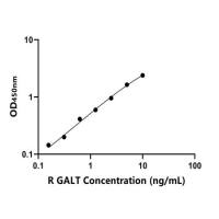 大鼠半乳糖-1-磷酸尿苷酰转移酶(GALT)ELISA试剂盒