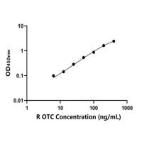 大鼠鸟氨酸氨基甲酰转移酶(OTC)ELISA试剂盒