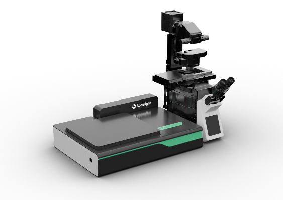 成果聚焦！从纳米尺度解析神经环路，单分子定位技术在突触生物学中的创新应用