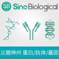 SwiftFluo® TR-FRET 丝氨酸/苏氨酸激酶活性检测试剂盒 S3底物