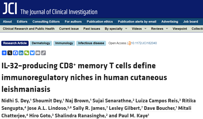 空间解析免疫调控新机制！Tissue Cytometry技术助力慢性感染治疗标志物新发现