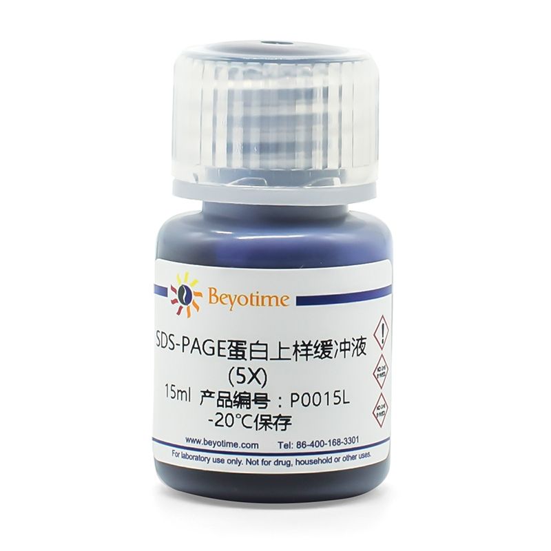 SDS-PAGE蛋白上样缓冲液(5X)