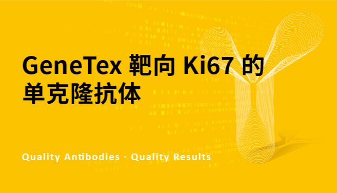 GeneTex 靶向 Ki67 的单克隆抗体