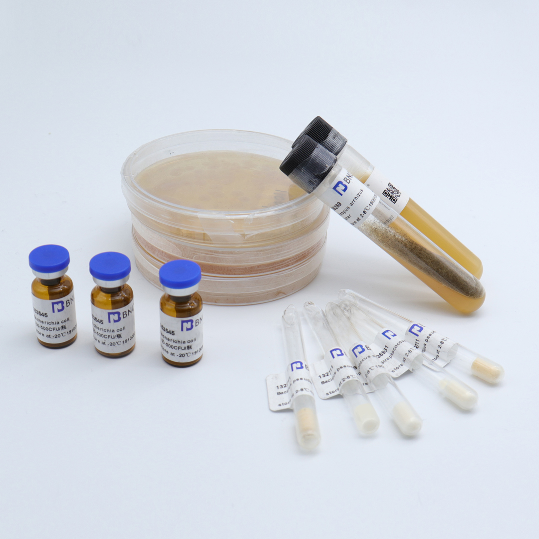 中国仓鼠卵巢细胞CTLA4Ig-24