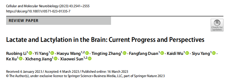 乳酸化专题 |《Cellular and Molecular Neurobiology》解读：脑内乳酸盐与乳酸化：研究进展与展望