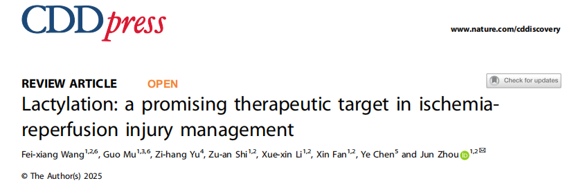 乳酸化专题 |《Cell Death Discovery》（2025, 11:100）解读：乳酸化：缺血再灌注损伤治疗中的一个有希望的治疗靶点