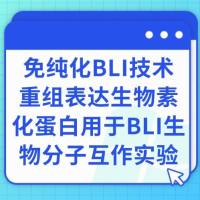 免纯化BLI技术：重组表达生物素化蛋白用于BLI生物分子互作实验