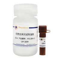 抗荧光淬灭封片液(强)