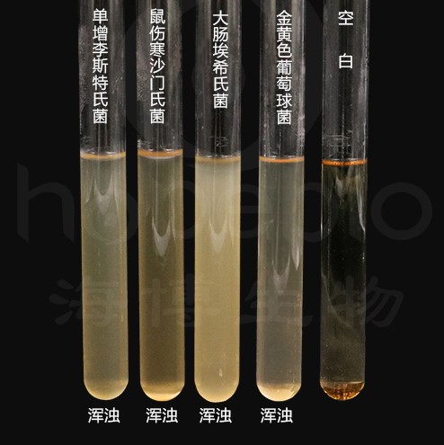 非选择性增菌培养基的出厂检验及验收方法