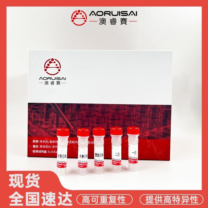 Anti-Nipah virus/NiV Fusion glycoprotein F1 Antibody (5G7)