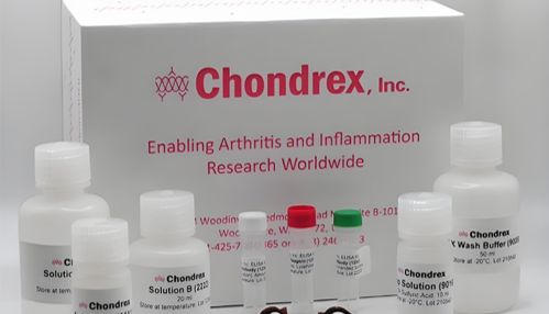 细胞活性与增殖评估-Chondrex MTT细胞增殖与毒性检测试剂盒
