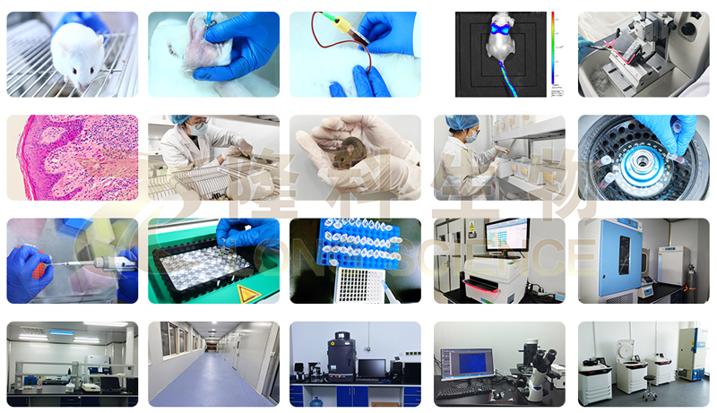 最低抑菌浓度mic实验