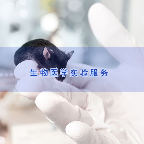 I型糖尿病模型实验|i型糖尿病小鼠模型|模型构建实验服务