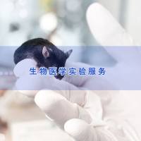I型糖尿病模型实验|i型糖尿病小鼠模型|模型构建实验服务