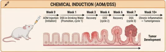 你的结直肠癌课题，“鼠”于哪一型？