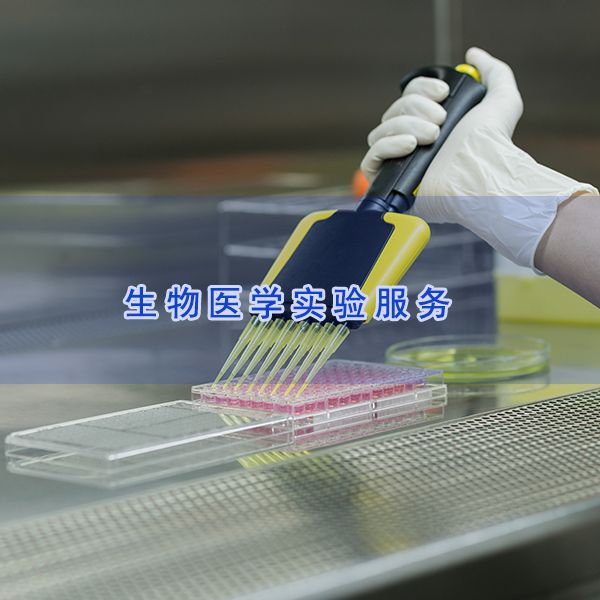 最小杀菌浓度MBC实验|细胞实验