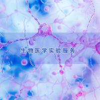 细胞流式钙离子检测|细胞实验服务