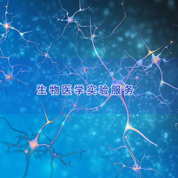 细胞侵袭实验|肿瘤细胞侵袭实验|细菌细胞侵袭实验|细胞实验