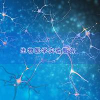 细胞侵袭实验|肿瘤细胞侵袭实验|细菌细胞侵袭实验|细胞实验