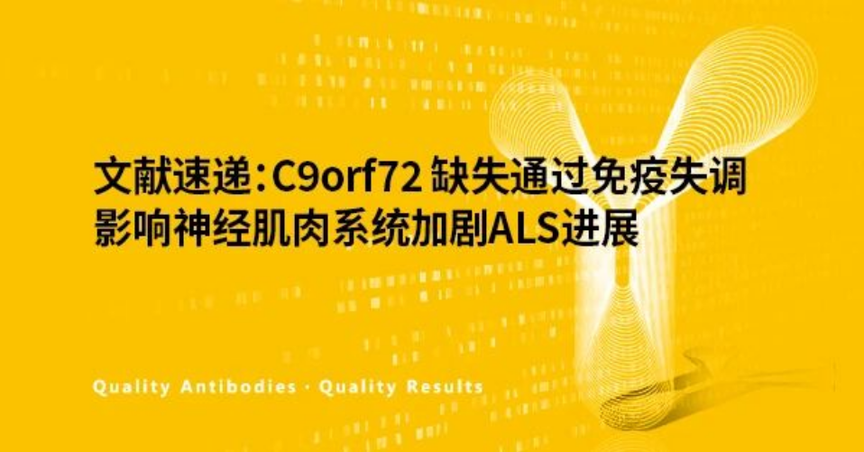 C9orf72 缺失通过免疫失调影响神经肌肉系统加剧ALS进展.png