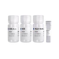 动物细胞核提取试剂盒 Hyperactive AM Nuclear Extraction Kit (NH201-01)