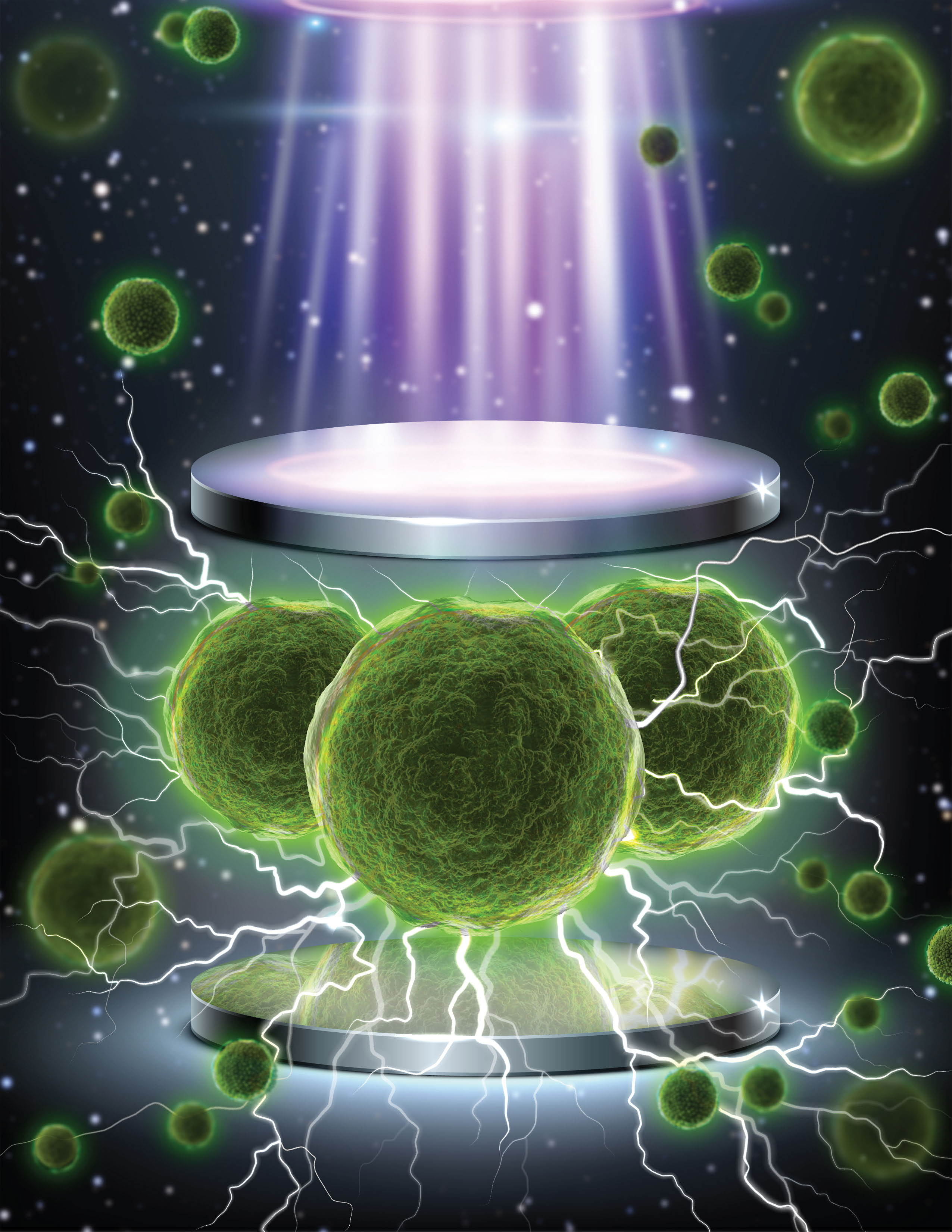 Cover Image_Premium_Immunology.jpg