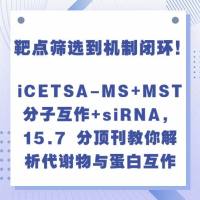 靶点筛选到机制闭环！iCETSA-MS+MST分子互作+siRNA，15.7 分顶刊教你解析代谢物与蛋白互作