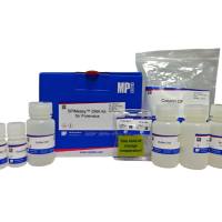 SPINeasy™ 法医样本DNA提取试剂盒