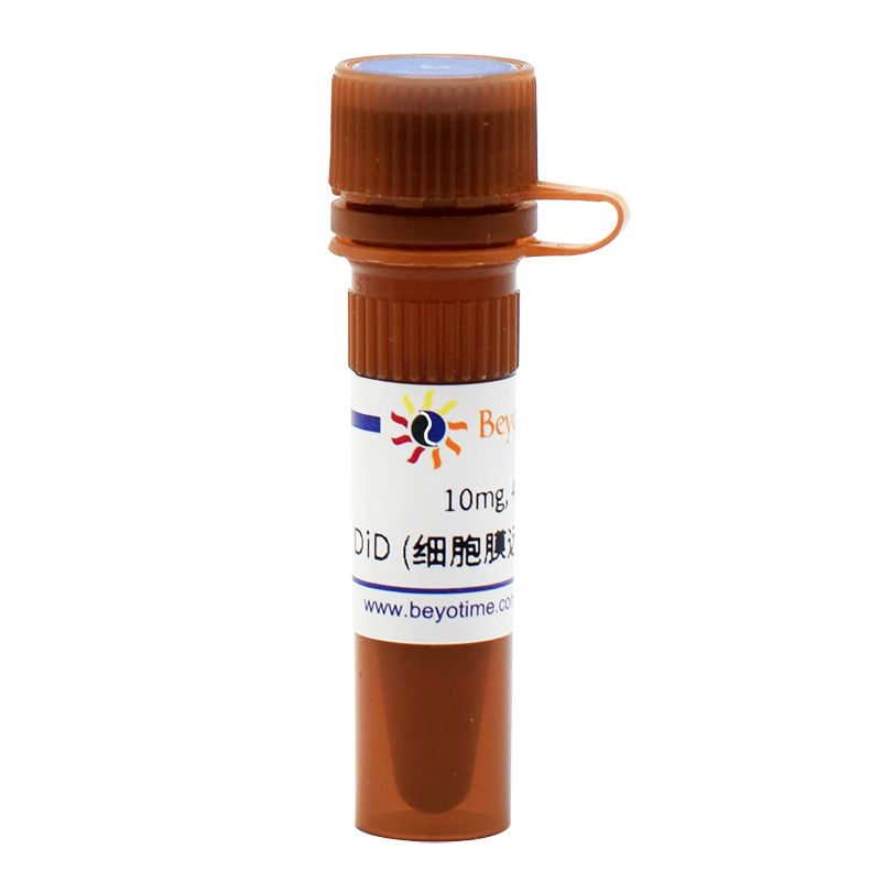 DiD (细胞膜远红荧光探针)