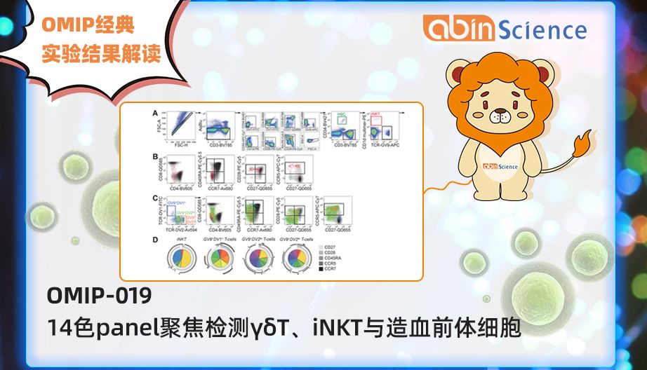 OMIP-019：14色panel聚焦检测γδT细胞、iNKT细胞与造血前体细胞