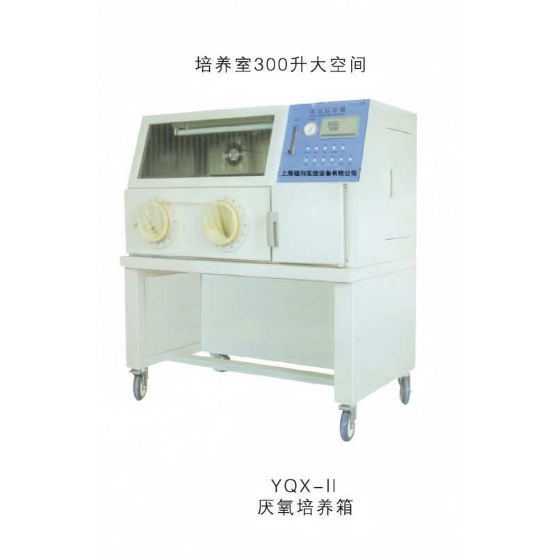 上海福玛厌氧箱YQX-II