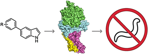 WMicrotracker小动物活动力分析系统文章分享，德国及捷克科研团队发表在 Journal of Agricultural and Food Chemistry “Synthesis, Anthelmintic Activity, and Mechanism of Action of 5-Aryl-1H-indoles”报告