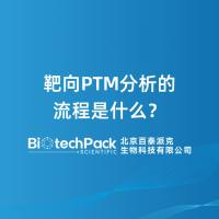靶向PTM分析的流程是什么？