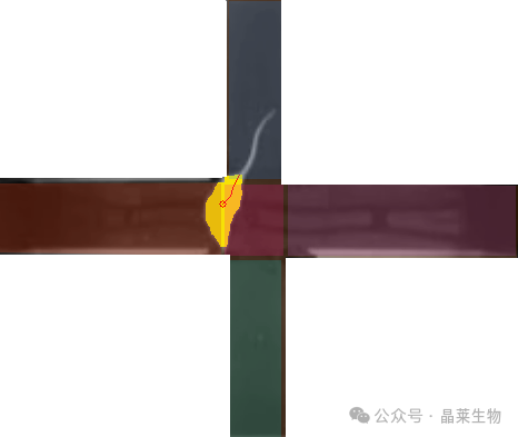 1770012714696080.png 3.png