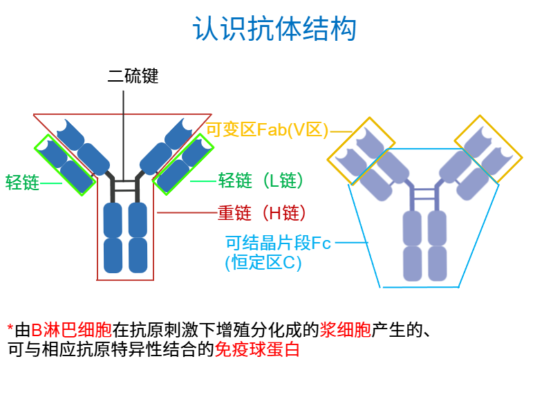 技术资料图片4
