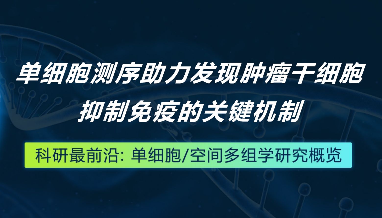 Cancer Cell丨单细胞测序助力发现肿瘤干细胞抑制免疫的关键机制
