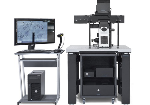 突破耐药菌困境！北大团队利用单细胞力谱技术量化细胞黏附力，抗生素用量锐减75%