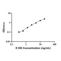 大鼠胰岛素降解酶(IDE)ELISA试剂盒