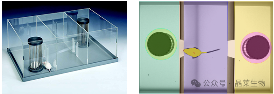 1770012776291146.png 7.png