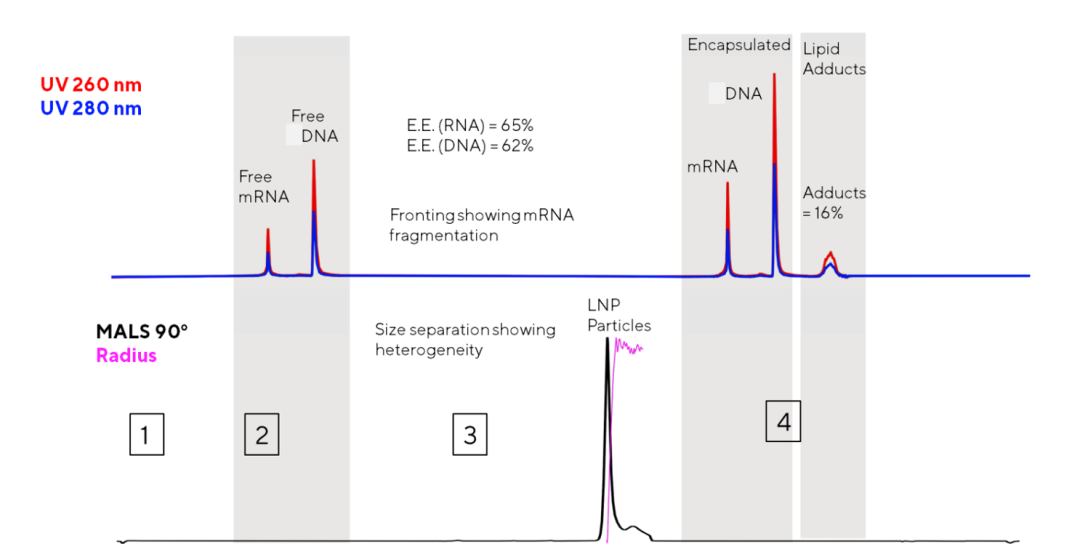 LNP在线检测突破！破解多组分 LNP 的质控盲区--多价mRNA疫苗、CRISPR、In vivo CAR-T