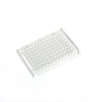 96孔U底细胞培养板(超低吸附),替代Nunc【174925/174929】