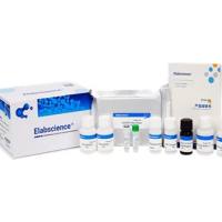 Elabscience高敏型人γ干扰素(IFN-γ) elisa试剂盒:0.98 pg/mL超灵敏检测,解锁低丰度免疫信号!