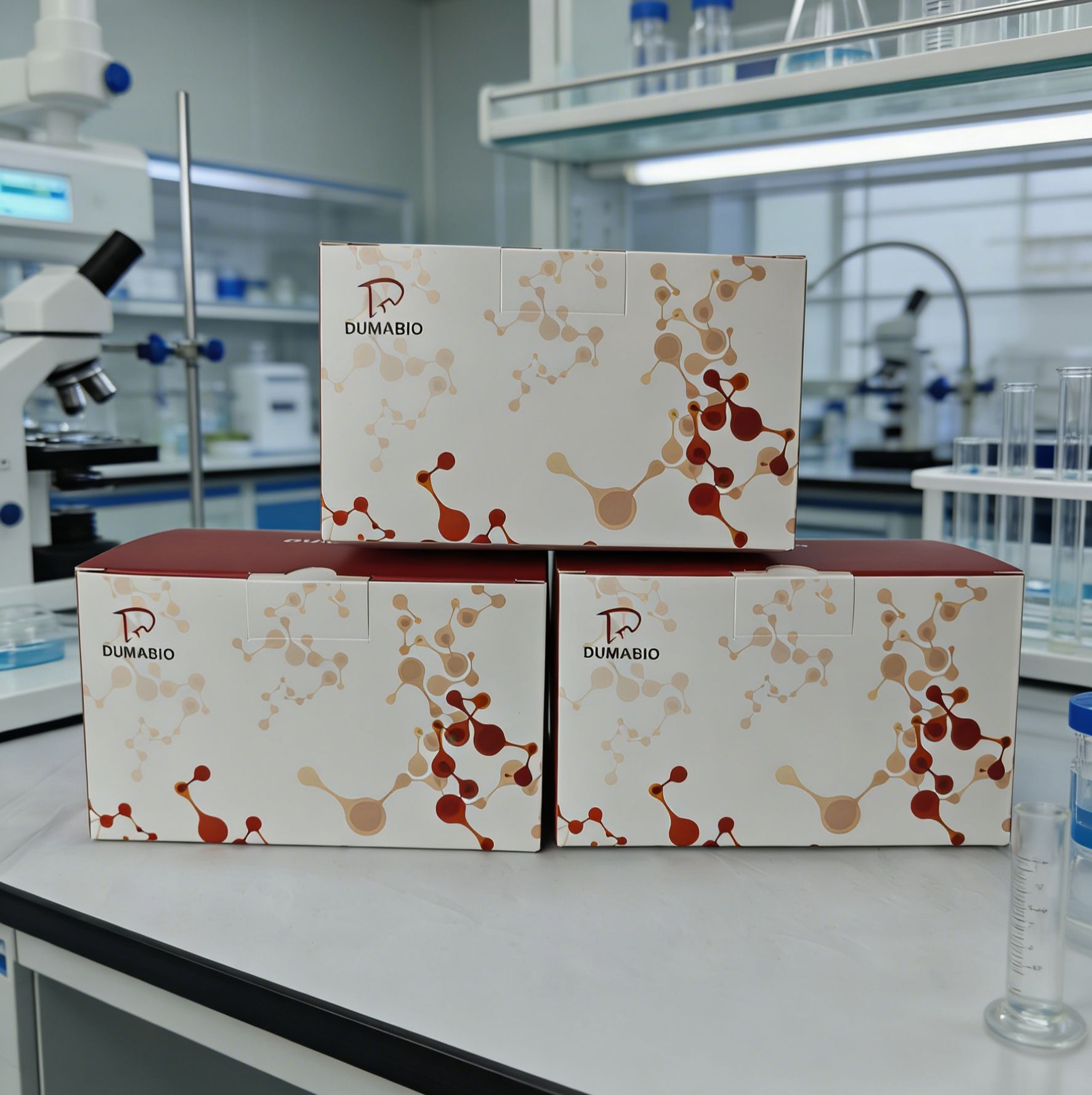 土壤碱性磷酸酶（soil alkaline phosphatase，S-AKP/ALP）活性测定试剂盒