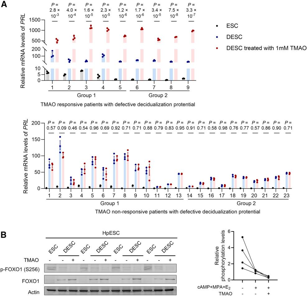 技术资料图片20