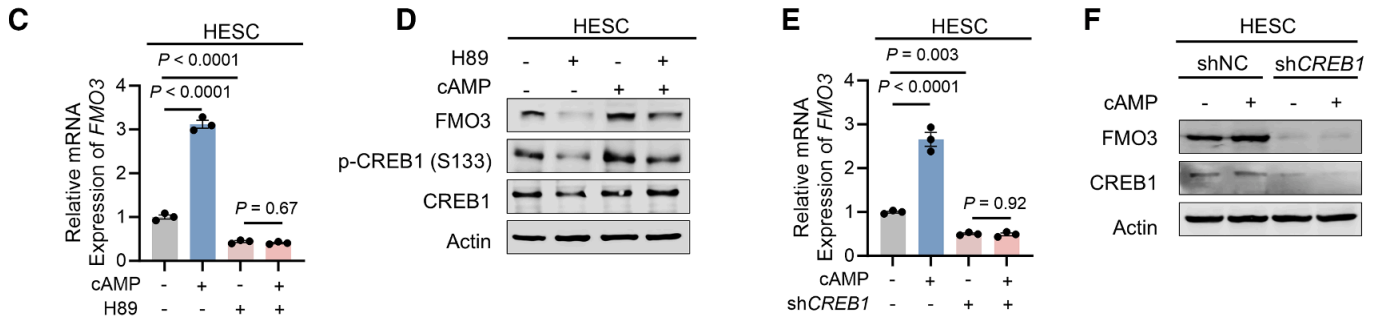 技术资料图片13